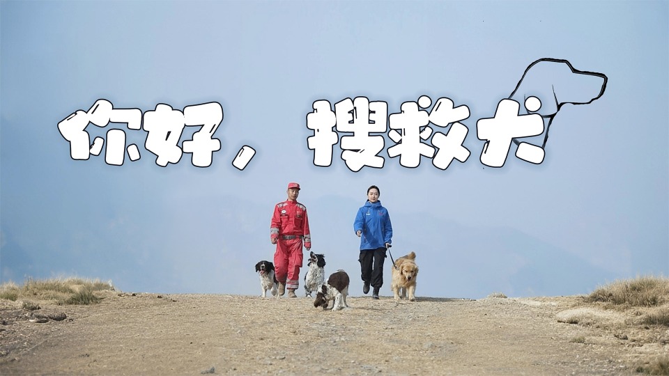 你好，搜救犬丨“萌兵”點(diǎn)點(diǎn)：我超級(jí)厲害的